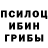 Галлюциногенные грибы Magic Shrooms Sevgi Tas