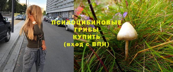 гашик Балахна