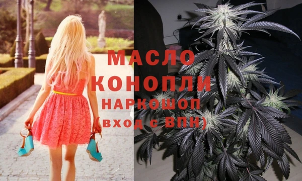 гашик Балахна